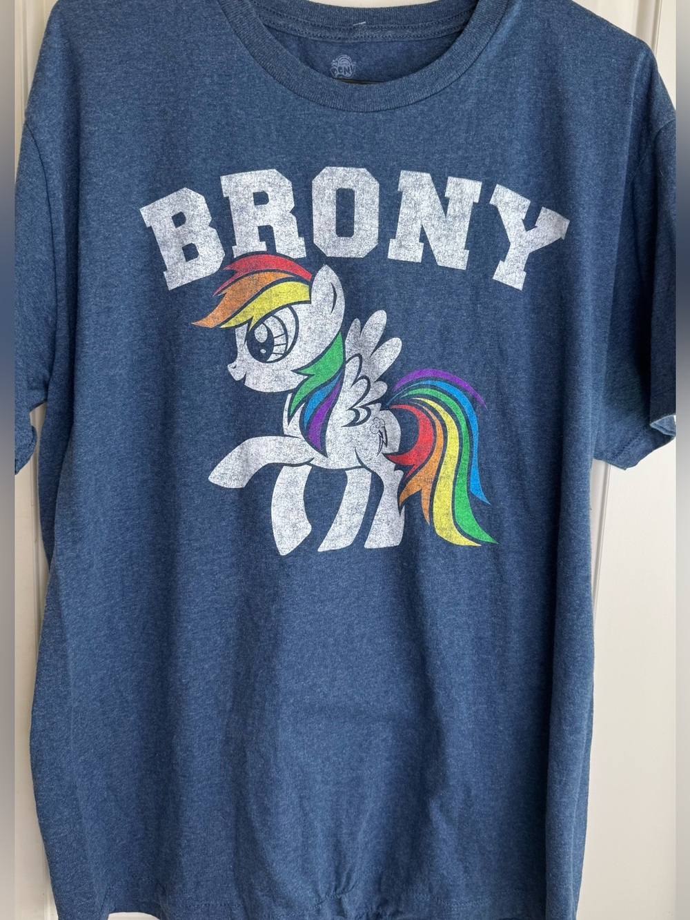 My Little Pony Rainbow Dash Brony Graphic Tee Blue Adult Large MLP